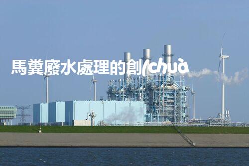 馬糞廢水處理的創(chuàng)新技術(shù)與應(yīng)用？